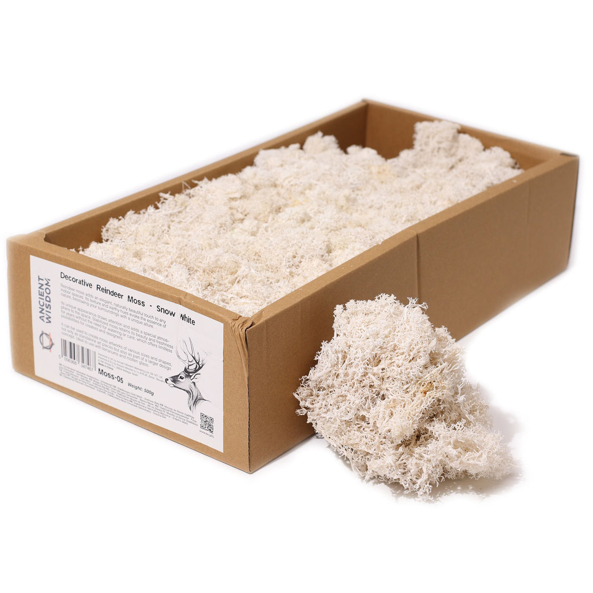 Islandmoos 500g Box – Weiß