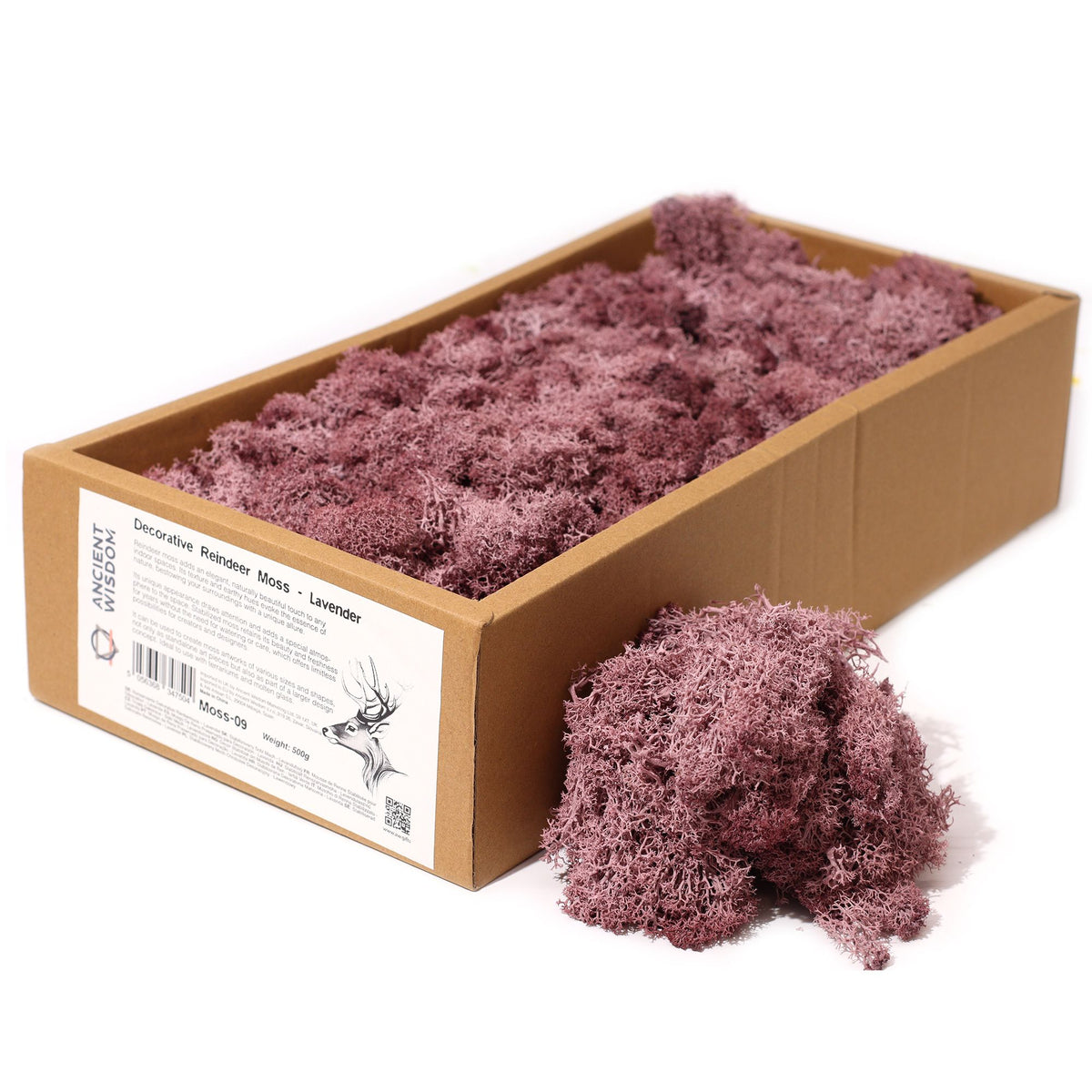 Islandmoos 500g Box – Lavendel