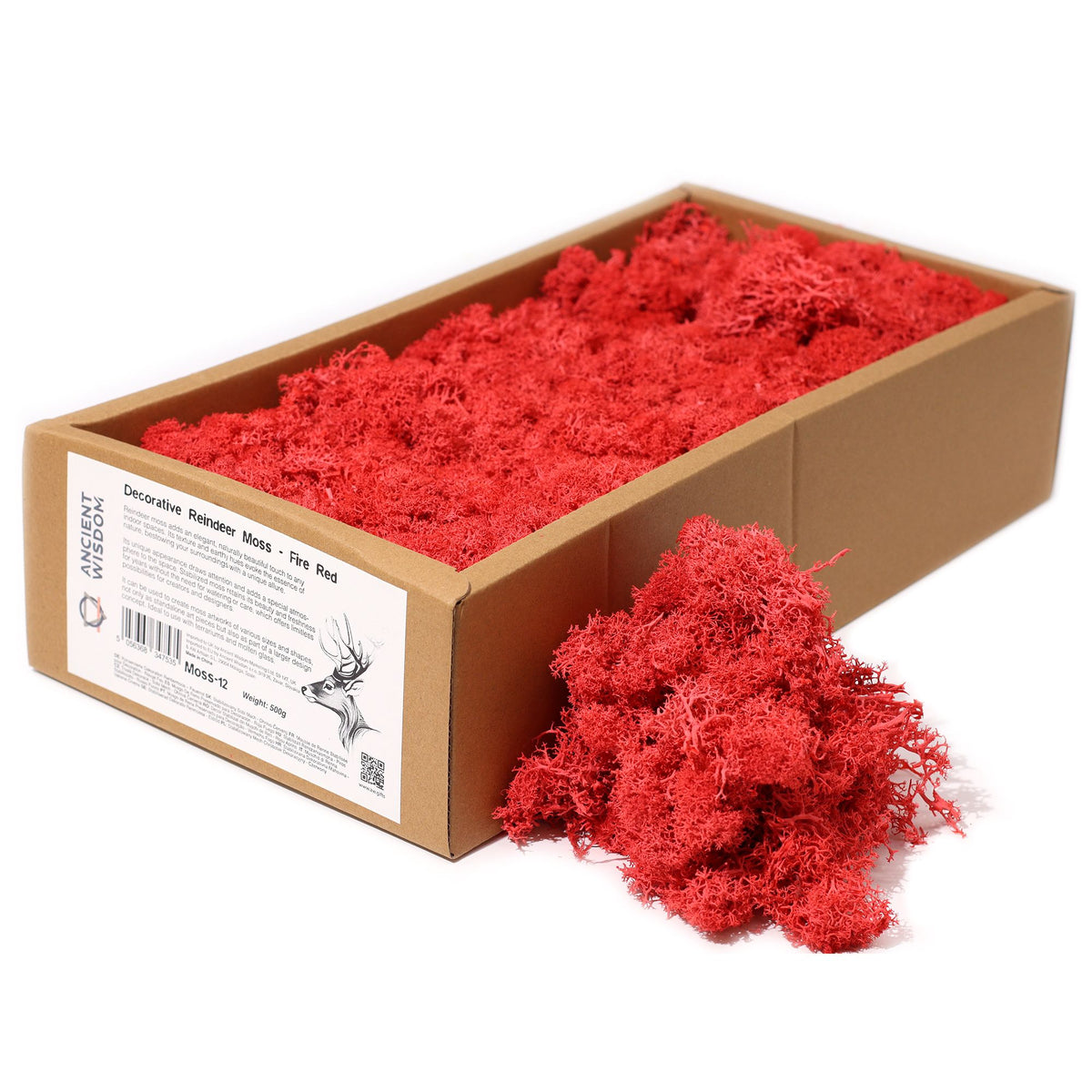 Islandmoos 500g Box – Feuerrot