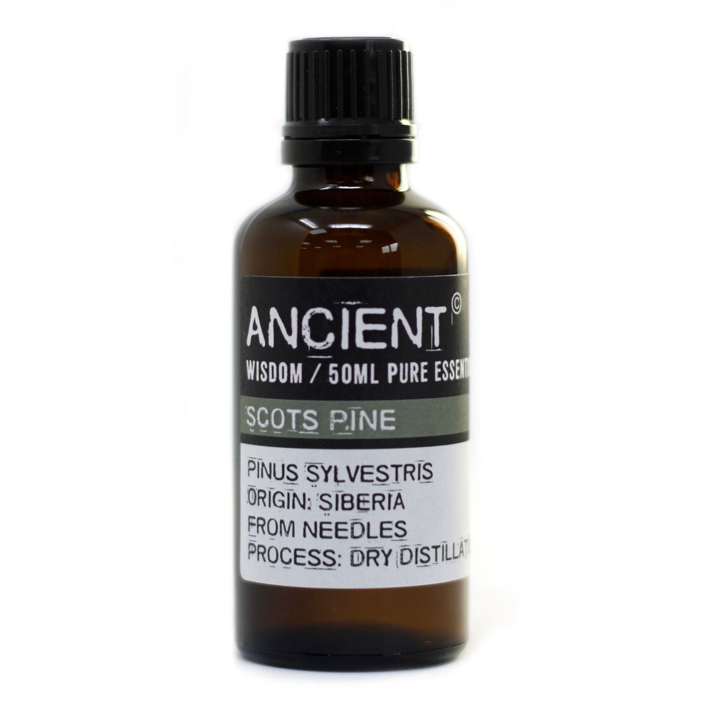 Pine Sylvestris (Scots Pine) 50ml ätherisches Öl