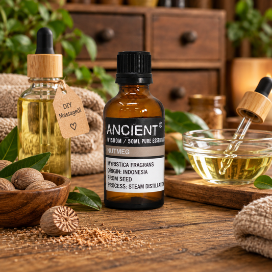 Ätherisches Muskatnussöl, 50 ml - Myristica fragrans