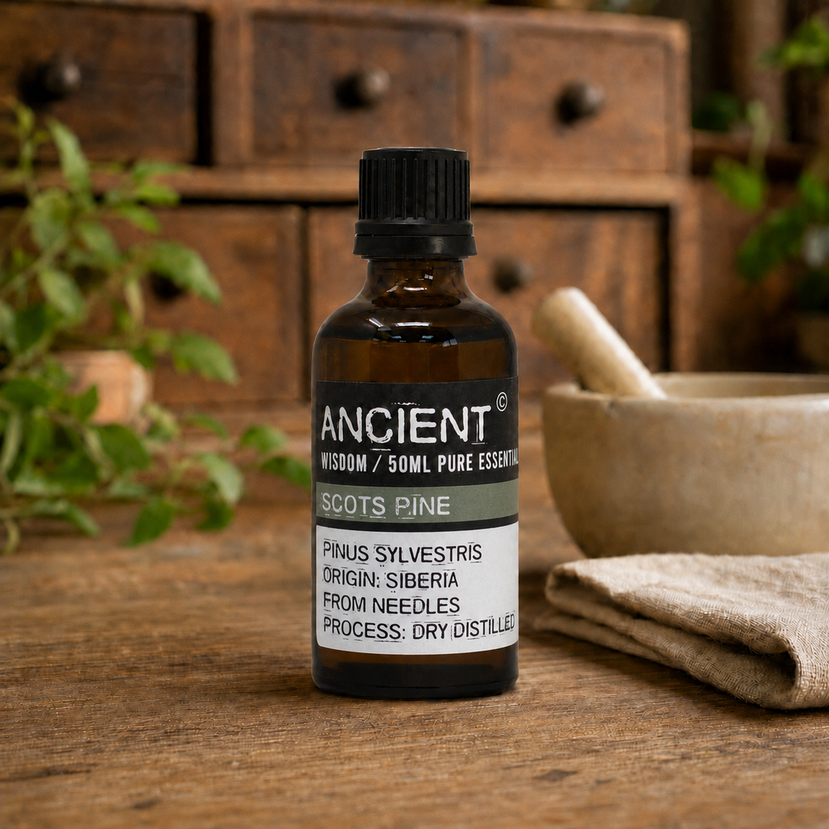 Ätherisches Öl der Waldkiefer (Pinus sylvestris) 50 ml