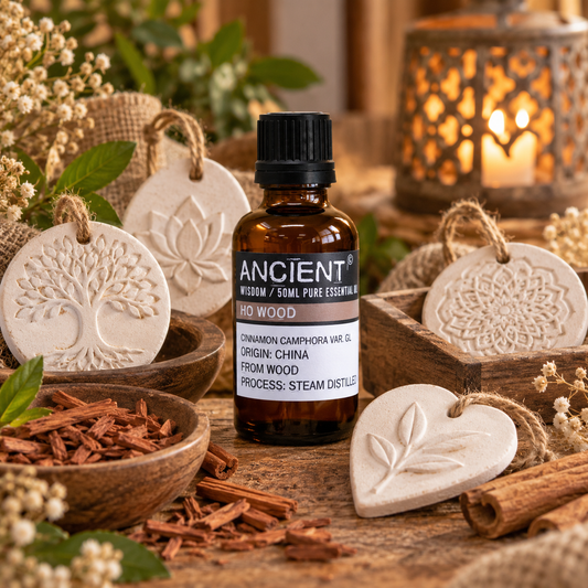 Ho-Holz-Ätherisches Öl 50 ml - Cinnamomum camphora var