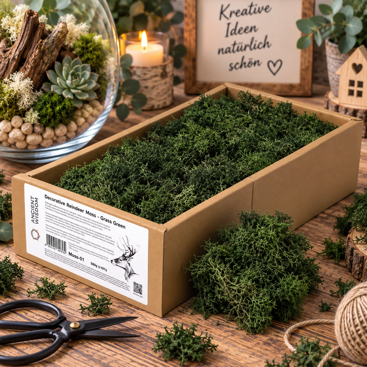 Islandmoos 500g Box – Grasgrün