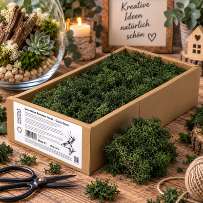 Islandmoos 500g Box – Grasgrün