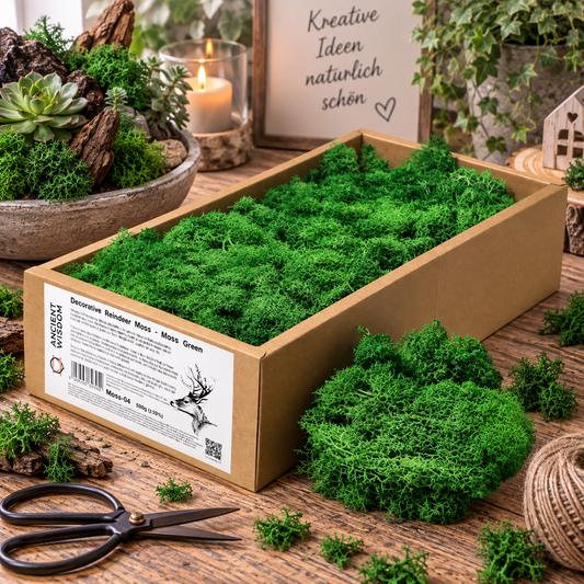 Islandmoos 500g Box – Moosgrün