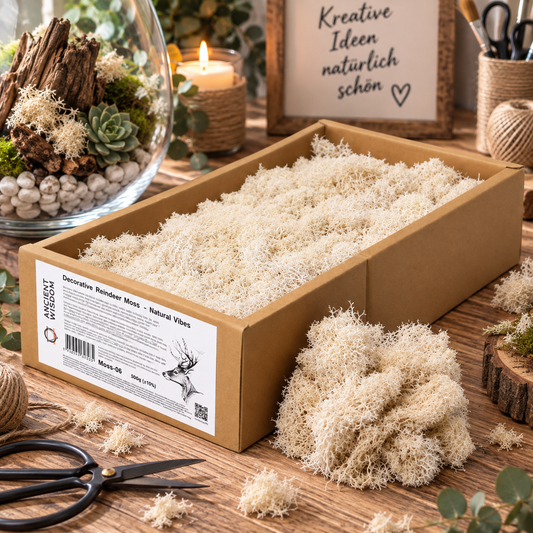 Islandmoos 500g Box – Natur