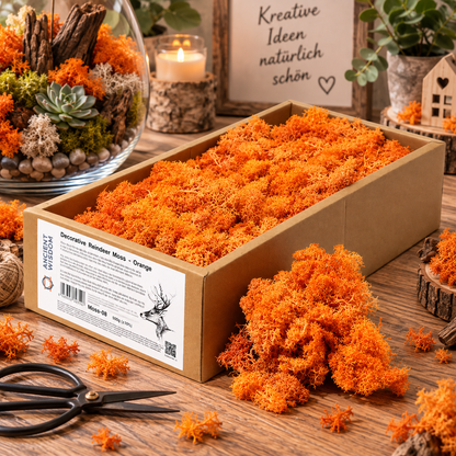 Islandmoos 500g Box – Orange