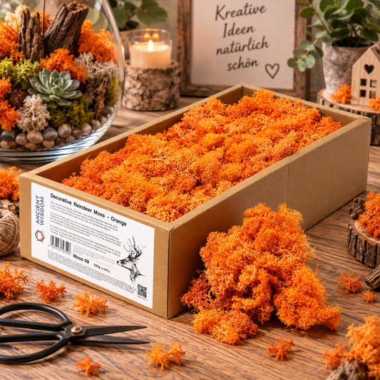 Islandmoos 500g Box – Orange