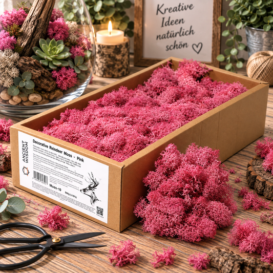 Islandmoos 500g Box – Pink