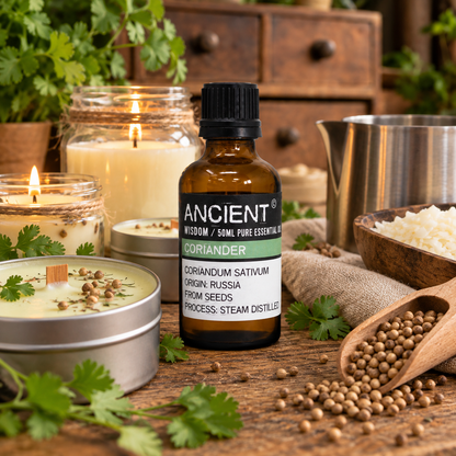 Koriandersamen ätherisches Öl 50 ml naturrein