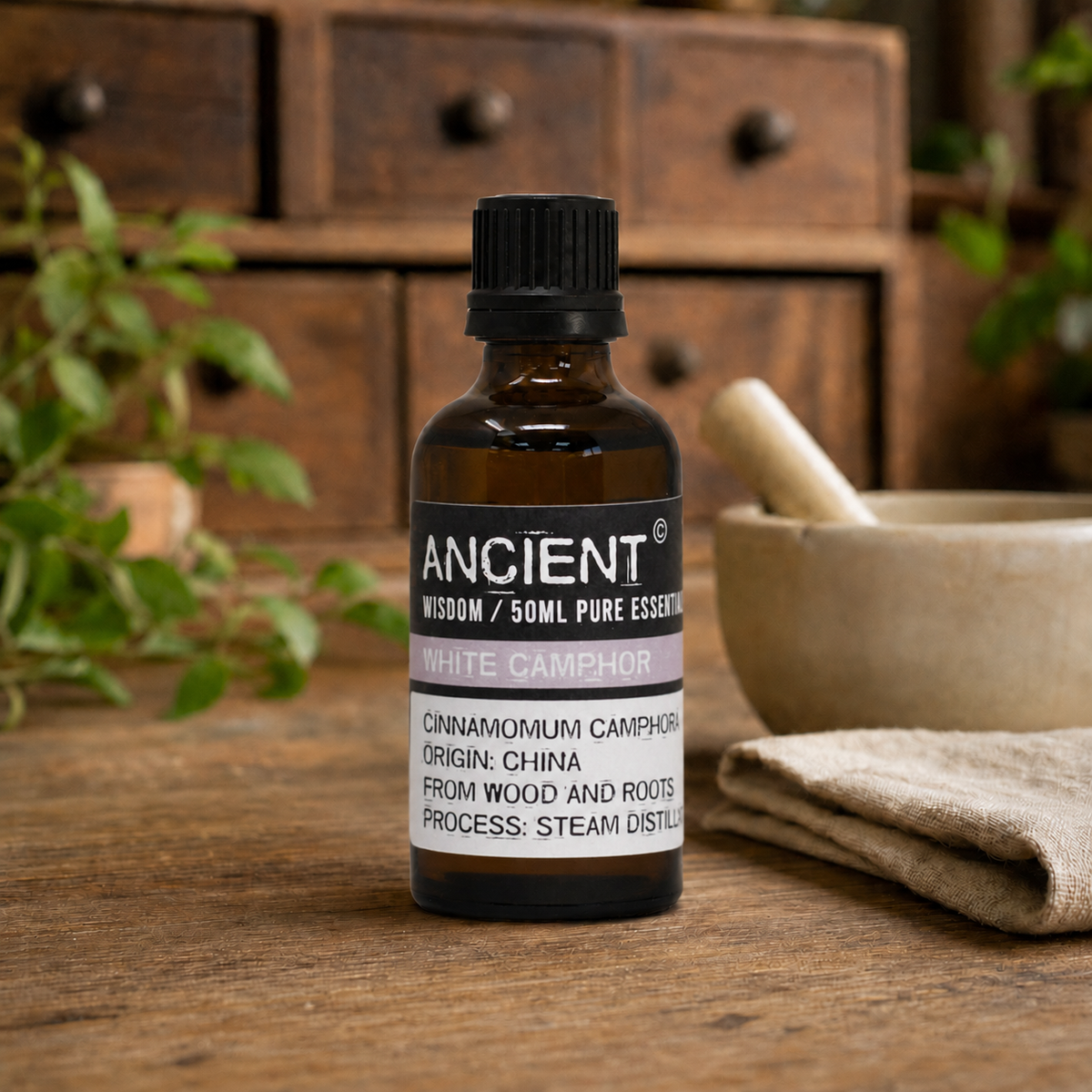 Ätherisches Öl mit weißem Kampfer, 50 ml - Cinnamomum camphora