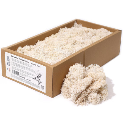 Islandmoos 500g Box – Natur