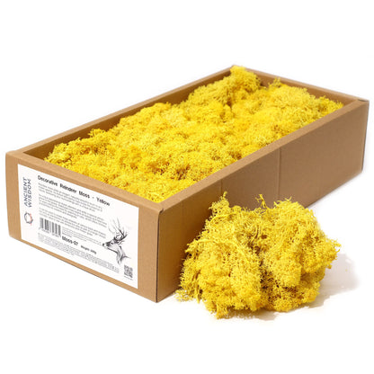 Islandmoos 500g Box – Gelb