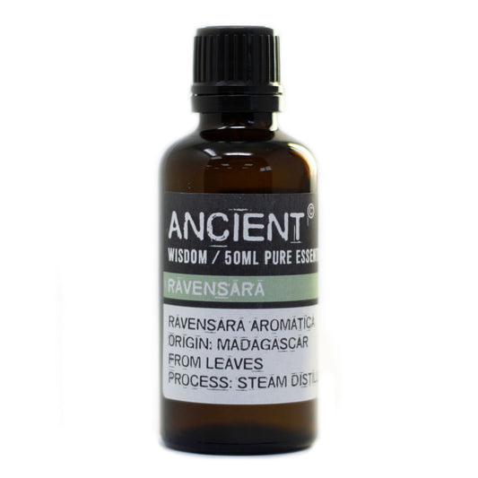Ravensara 50 ml ätherisches Öl aus Madagaskar