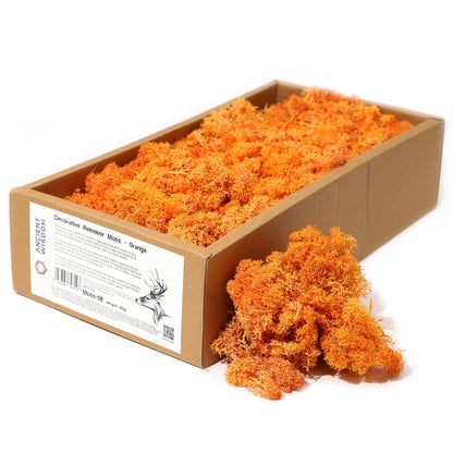 Islandmoos 500g Box – Orange