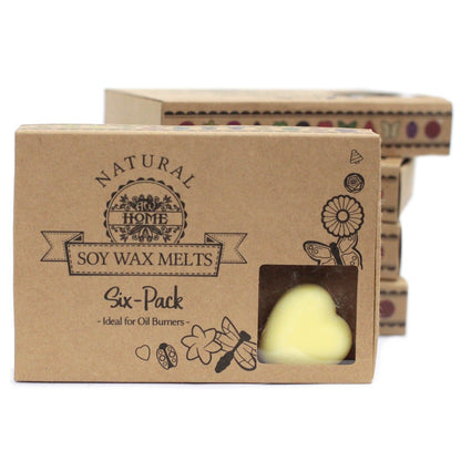 Duftwachs-Pralinen  - Brandy Butter (6 Stück)