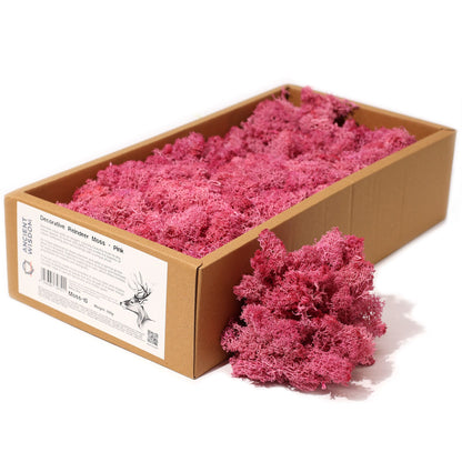 Islandmoos 500g Box – Pink