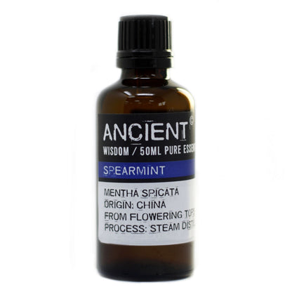 Ätherisches Spearmintöl 50 ml - Mentha spicata