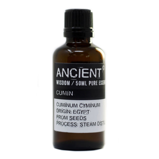 Kümmel Samen ätherisches Öl 50 ml