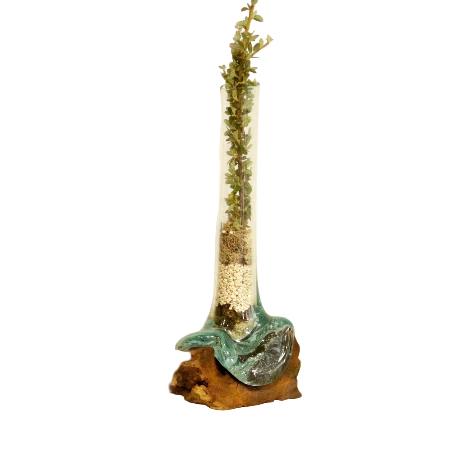 Molten Glass on Wood Vase – Glas auf Holz mit rustikalem Design