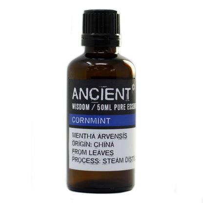 Ätherisches Ackerminzöl 50 ml - Mentha arvensis