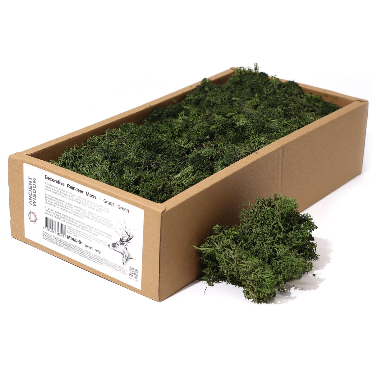 Islandmoos 500g Box – Grasgrün