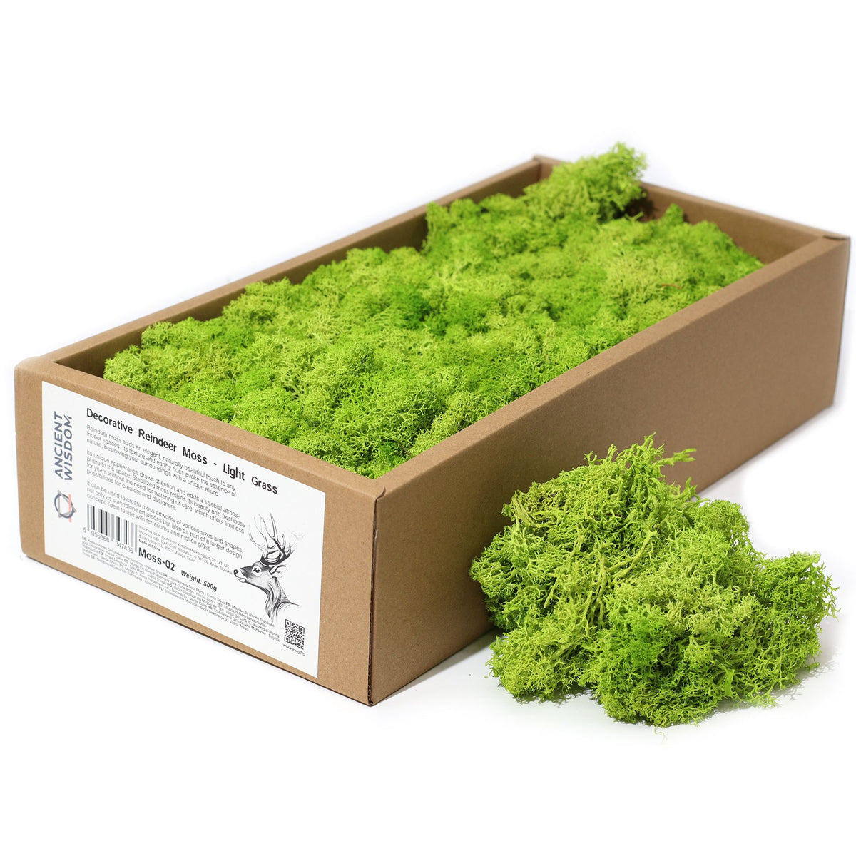 Islandmoos 500g Box – Hellgün