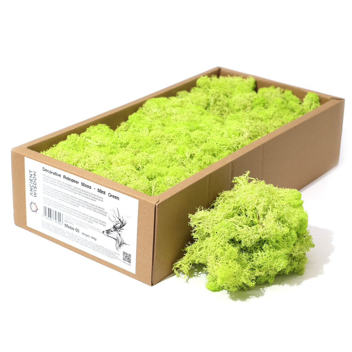 Islandmoos 500g Box – Mintgrün