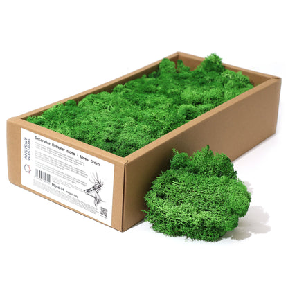 Islandmoos 500g Box – Moosgrün
