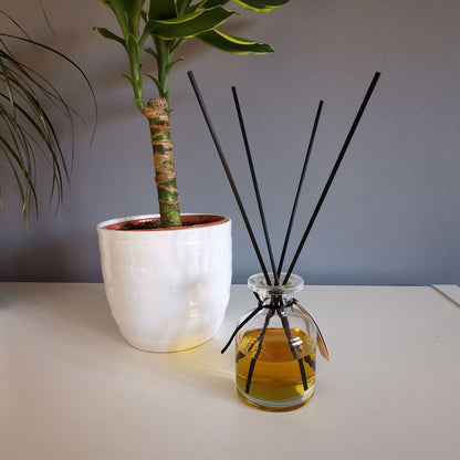 Diffuser-Stäbchen, 25cm x 3mm - Nachfüllpackung