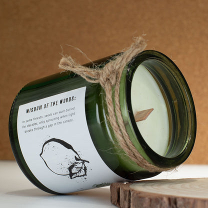 Greenman Duftkerze Forest Resin im Glas