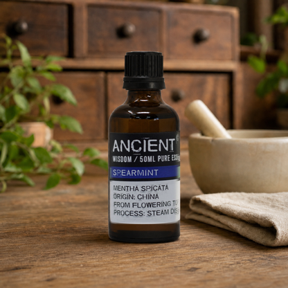 Ätherisches Spearmintöl 50 ml - Mentha spicata