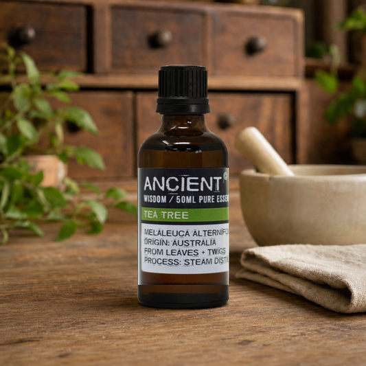 Ätherisches Teebaumöl, 50 ml - Melaleuca alternifolia
